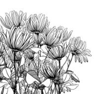 monochrome graphic flowers