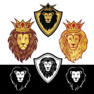 lion4