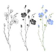 Flax plant with flowers and buds isolated elements