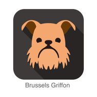 Brussels Griffon dog face flat icon series