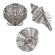 Zentangle stylized set seashells Hand Drawn vector illustration N2