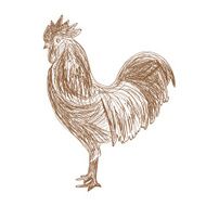 Hand drawn Cock