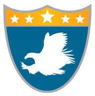 Vector emblem eagle (eagle coat of arms symbol badge symbol design)