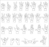 Hand collection - vector line illustration