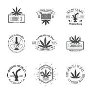 Set of medical marijuana logos Cannabis badges labels and logos N5
