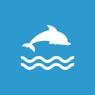 dolphin icon isolated white on the blue background