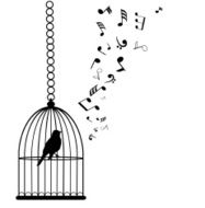 Bird Cage N24