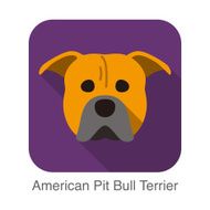 American pit bull terrier dog face flat icon series