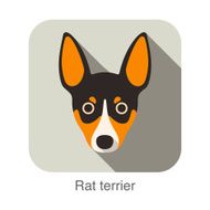 Rat terrier dog face flat icon series