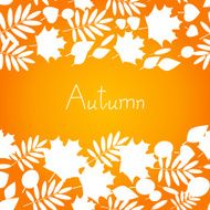 Autumn background for Your design N9