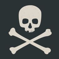 skull and crossbones N35