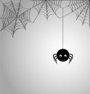 Cute spider and webs