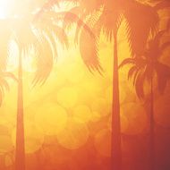 Summer background N62
