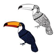 Toucan Set of birds isolated on white background N2