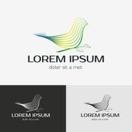 Bird vector logo template