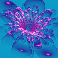 Beautiful pink flower on blue background