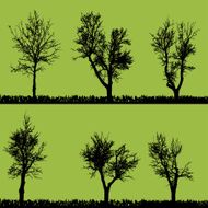 Vector silhouette of tree N32