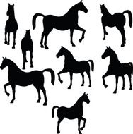 horse silhouette isolated on white N22
