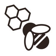 Bee and honeycombs icon