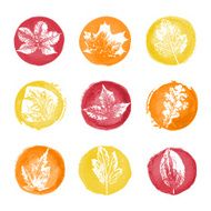 Autumn leaves icons