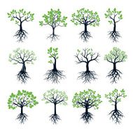 Set of Trees Green Leafs and Roots N2