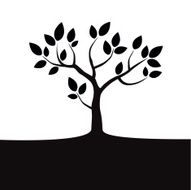 Black Tree on white Background N2