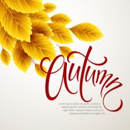 Autumn leaves background Vector illustration N4