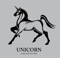 Unicorn N19
