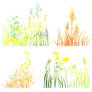 Four silhouettes of flowers and grass N2