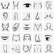 Male body parts icons set