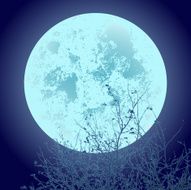 Full Moon N16