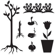 Garden seedling set