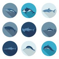 whales and fish