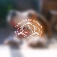 Take care of animals (dog)