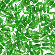 Seamless watercolor green leaves pattern with white background N6