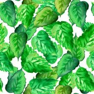 Seamless watercolor green leaves pattern with white background N7