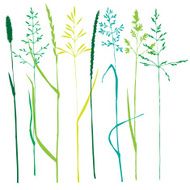 Set of grass silhouettes N8