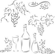 Grape and wine