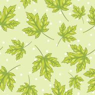 Green Maple Leaf Pattern