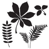 Black and white silhouettes of leaves