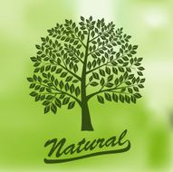 Tree with a Round Crown - Ecology Natural Organic Logo