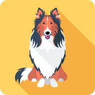 dog Rough collie icon flat design N2