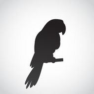 Parrot icon isolated on white background