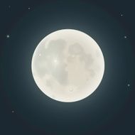 Realistic moon Vector illustration