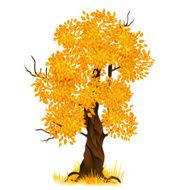 Vector autumn tree isolated on white vector illustration