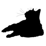 Cat Silhouette N91