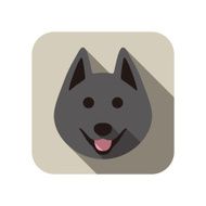 Schipperke dog face flat icon series