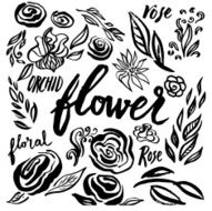 Set of vector floral design elements N5