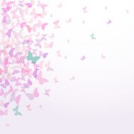 spring summer card design Colorful pink butterflies set white background N2