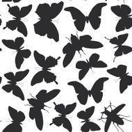 black butterflies cicada set isolated silhouette seamless pattern white background